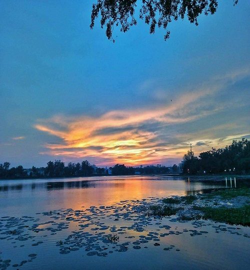 118797747_3130200113700108_1943770140763383771_n-q0bjecclhz1i3rgswc992jheqttliac74ciafq0jrs