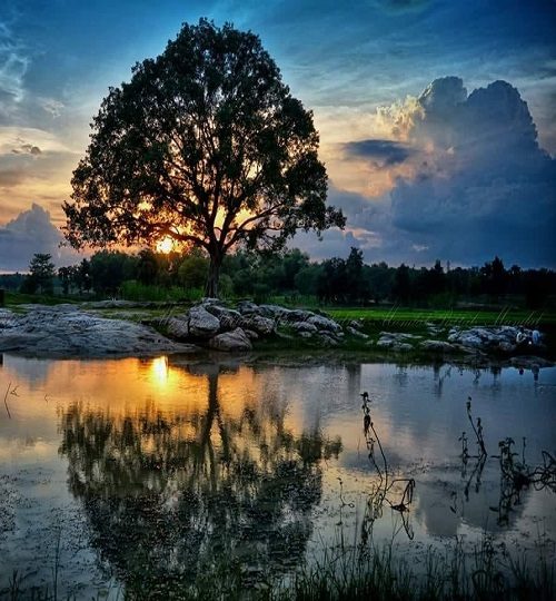 118936804_3138211012899018_5549541479889863559_n-q0bjedafot2sfdffqunvn18vc7oypzfxgh5rwzz5lk (1)