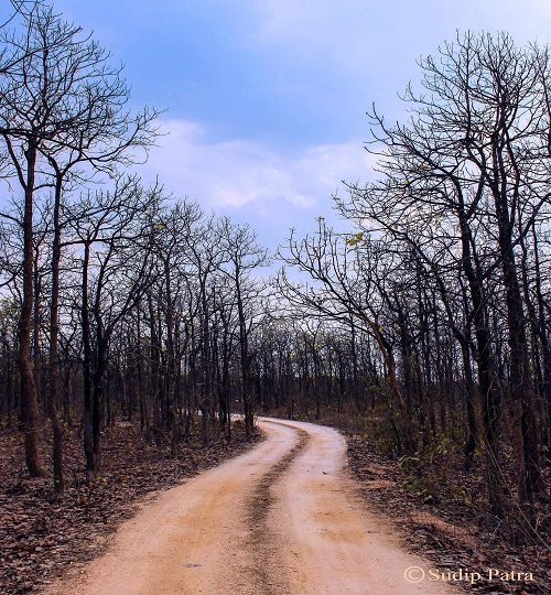 15676107_1153800131340126_2221131271318955941_o-q0bjuntq5fdpo1rglw72ux8i0ne0544fp48rdnthqw (1)