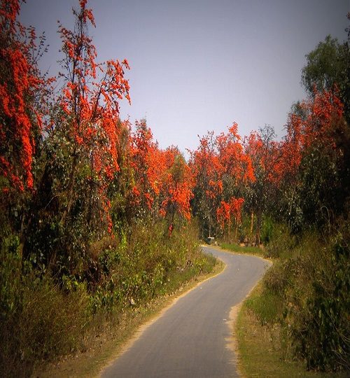 DXCvfzrVQAEWMcy-q0b8aod1kxxfkm05o2yxdw8pttq5ncovu6kxh8lrfc