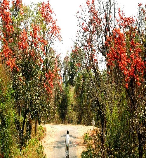 Purulia-Garpanchkot-in-west-bengal-q0b8aod1kxxfkm05o2yxdw8pttq5ncovu6kxh8lrfc